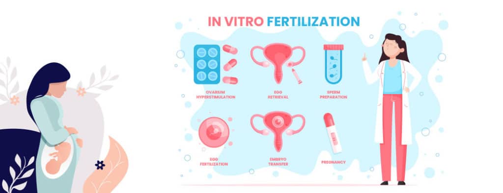 IVF Surrogacy Process and Success Rates