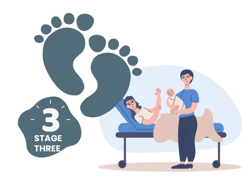 Stage of Labor 3: Delivery of the Placenta