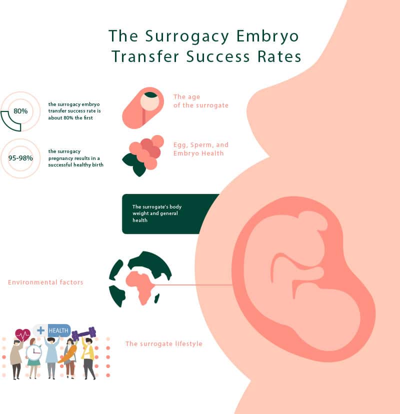 The Surrogacy Embryo Transfer Success Rates