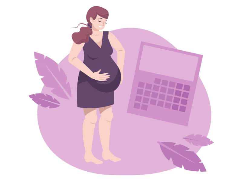 The Surrogacy Pregnancy