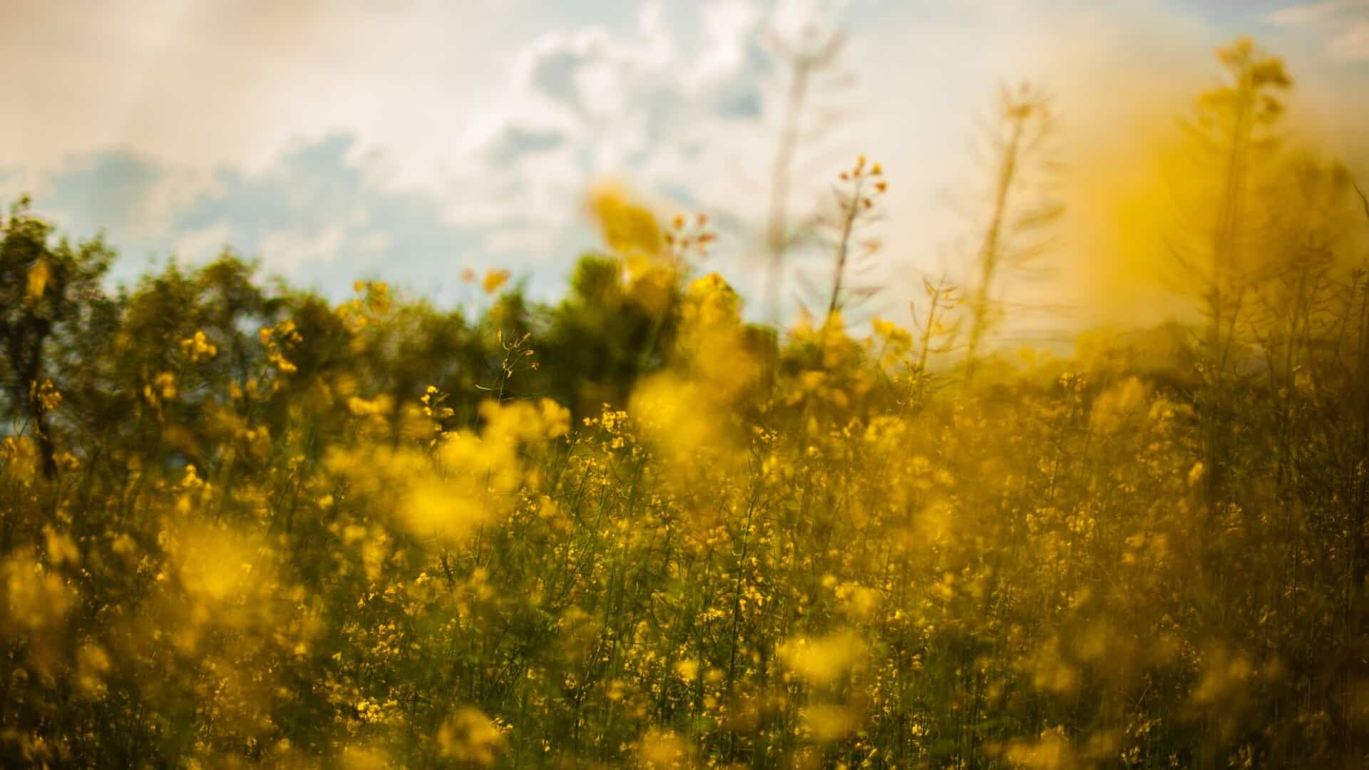 Seasonal Eating for Health